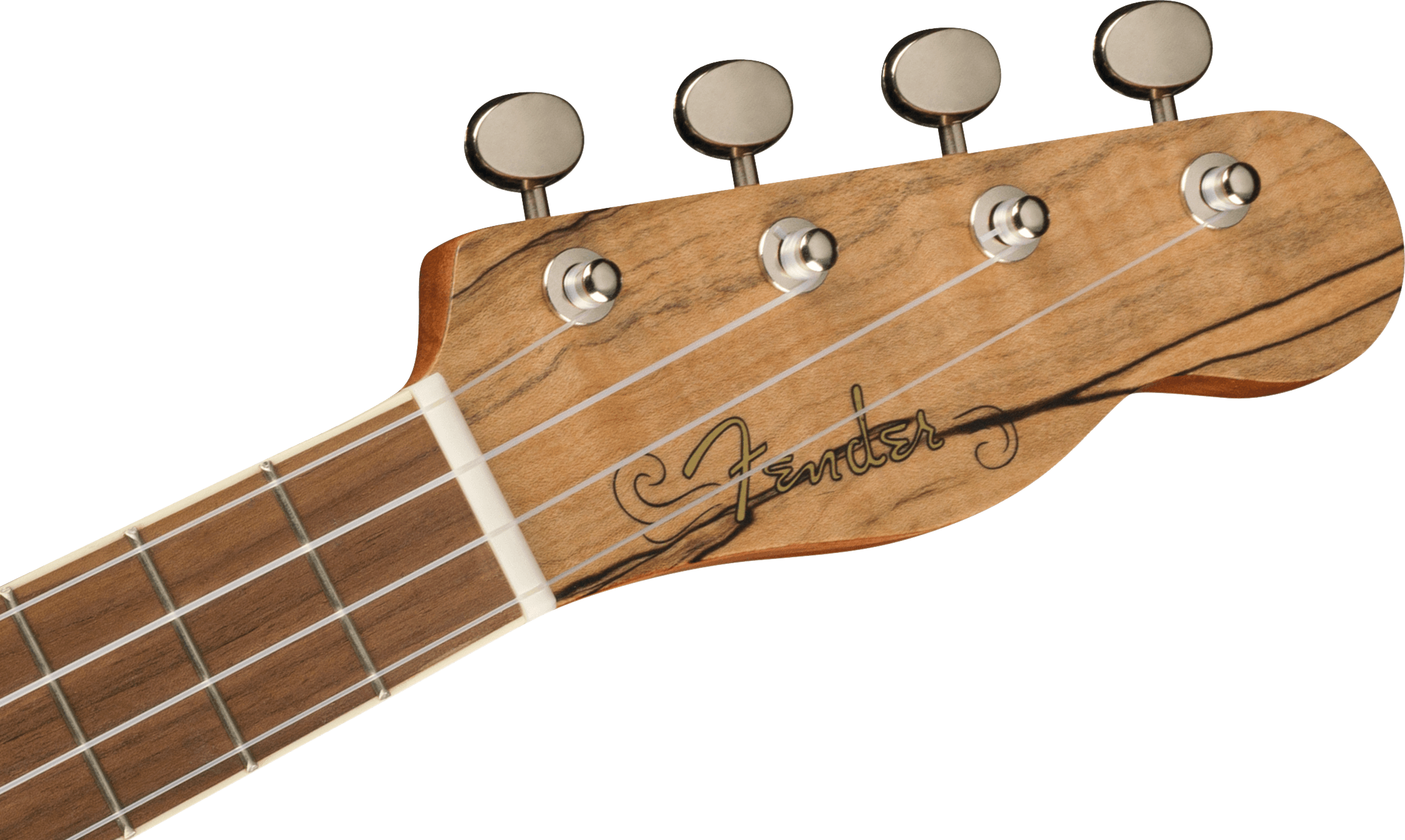 Fender Zuma Exotic Concert Ukulele, Walnut Fingerboard, Spalted Maple