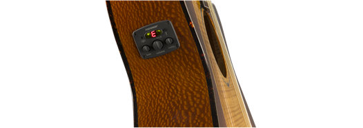 Fender FA-345CE Auditorium Tea Burst