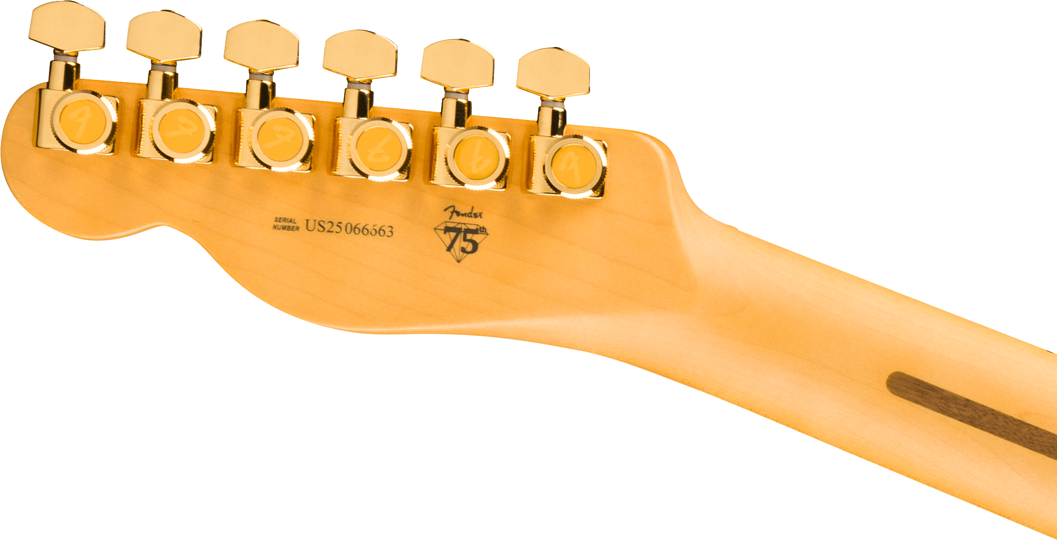 75th Anniversary American Professional Custom Telecaster®, Maple Fingerboard, 2-Color Sunburst