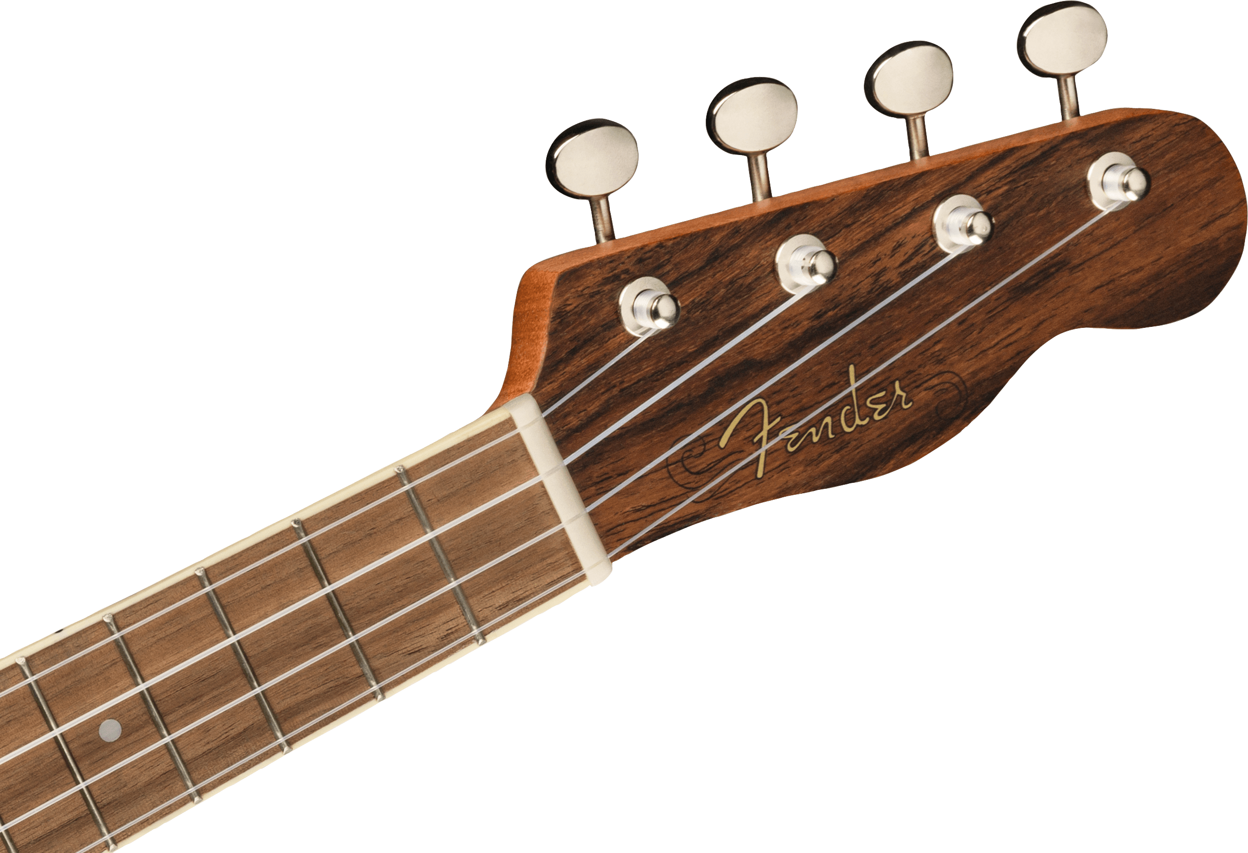 Fender Zuma Exotic Concert Ukulele, Walnut Fingerboard, Bocote