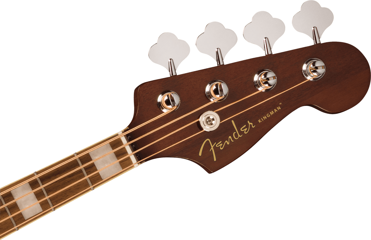 Fender Californiaシリーズ エレクトリックアコースティック