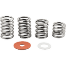 Bigsby® Spring and Washer Pack Steel