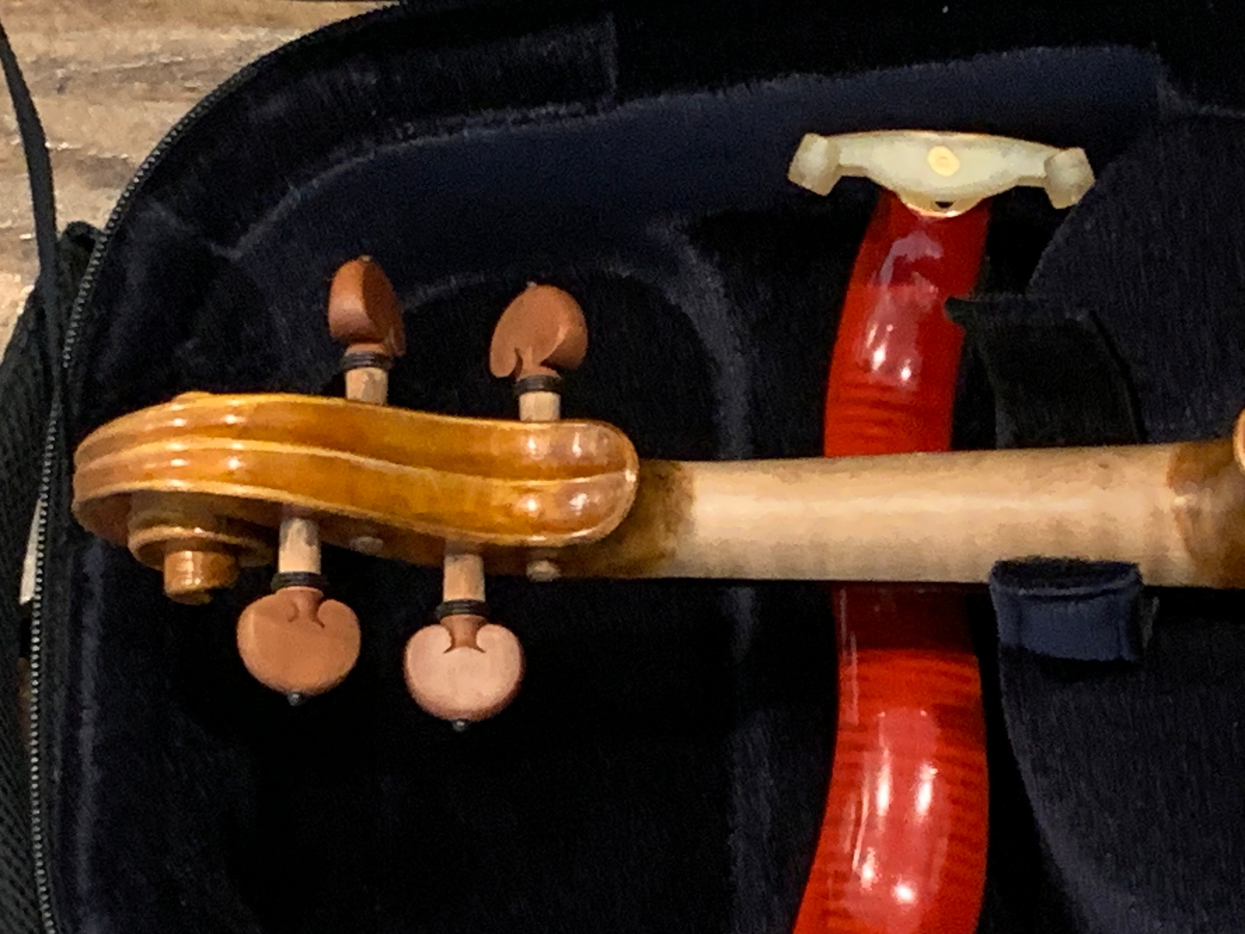 D Z Strad Model 609 Professional Handmade Violin Outfit (Soil Copy)