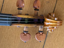 D Z Strad Model 609 Professional Handmade Violin Outfit (Soil Copy)