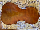 D Z Strad Model 609 Professional Handmade Violin Outfit (Soil Copy)