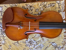 D Z Strad Model 609 Professional Handmade Violin Outfit (Soil Copy)