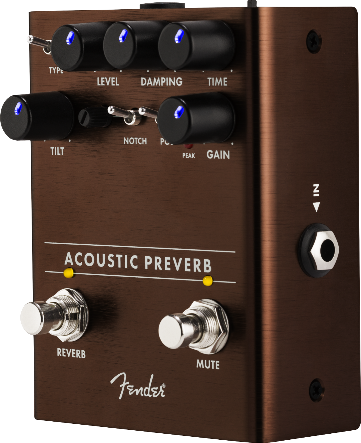 Fender Acoustic Preverb
