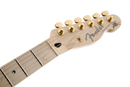 Fender Richie Kotzen Telecaster® Maple Fingerboard Brown Sunburst