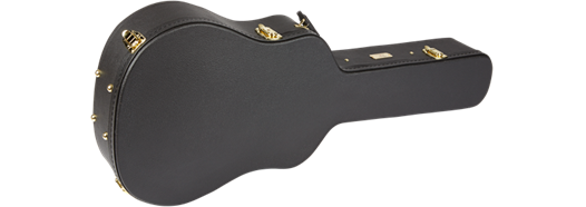 Fender PM-1 STANDARD DREADNOUGHT, NATURAL