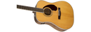 Fender PM-1 STANDARD DREADNOUGHT, NATURAL