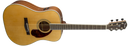 Fender PM-1 STANDARD DREADNOUGHT, NATURAL