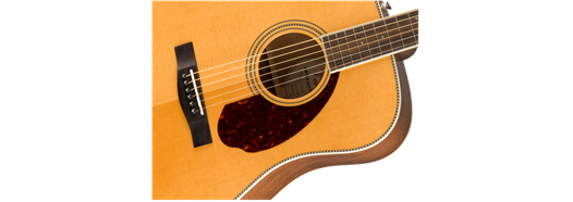 Fender PM-1 STANDARD DREADNOUGHT, NATURAL