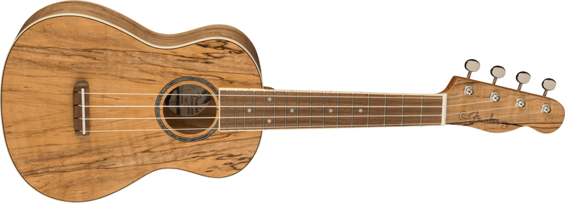 Fender  Zuma Exotic Concert Ukulele, Walnut Fingerboard, Spalted Maple
