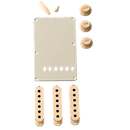 Fender Accessory Kit, Stratocaster®, Aged White