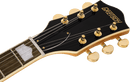 Gretsch  G2410TG STREAMLINER™ HOLLOW BODY SINGLE-CUT WITH BIGSBY® AND GOLD HARDWARE